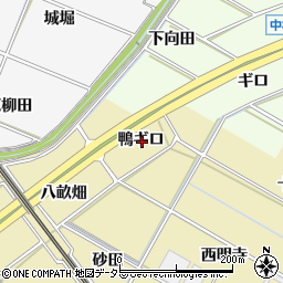 愛知県岡崎市定国町鴨ギロ周辺の地図