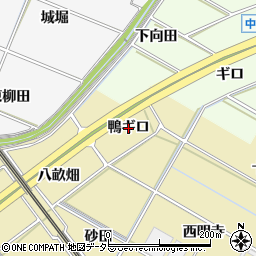 愛知県岡崎市定国町（鴨ギロ）周辺の地図