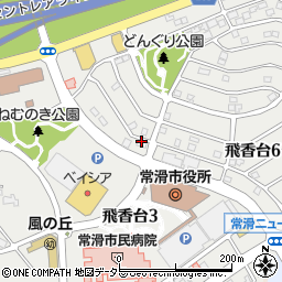 ココカラファイン薬局とこなめ店周辺の地図