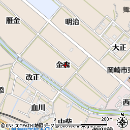 愛知県岡崎市舞木町金森周辺の地図