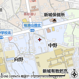 愛知県新城市中野54周辺の地図