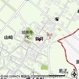 愛知県安城市城ケ入町新井周辺の地図