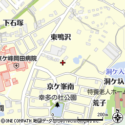 愛知県額田郡幸田町坂崎東鳴沢40周辺の地図