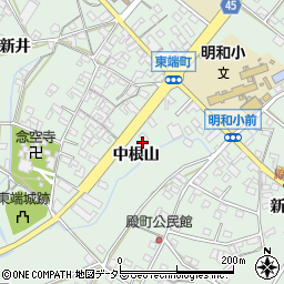 愛知県安城市東端町中根山45周辺の地図