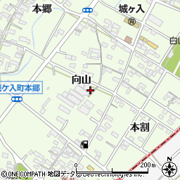 愛知県安城市城ケ入町周辺の地図