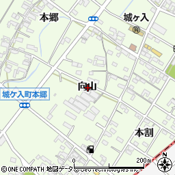 愛知県安城市城ケ入町向山周辺の地図