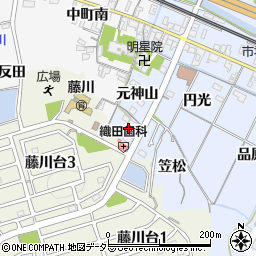 愛知県岡崎市市場町神山周辺の地図