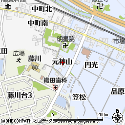 愛知県岡崎市市場町元神山周辺の地図