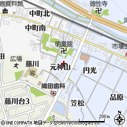 愛知県岡崎市市場町元神山11周辺の地図