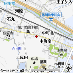 愛知県岡崎市藤川町中町南48周辺の地図