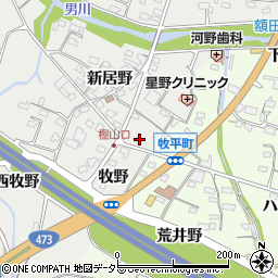 愛知県岡崎市樫山町新居野1周辺の地図