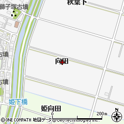 愛知県安城市東町向田周辺の地図