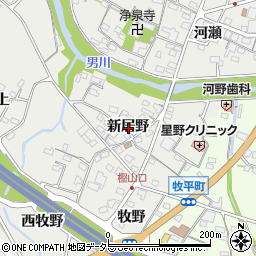 愛知県岡崎市樫山町新居野周辺の地図