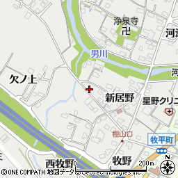 愛知県岡崎市樫山町新居野37周辺の地図