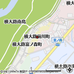 京都府京都市伏見区横大路前川町周辺の地図