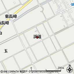 愛知県常滑市金山（浜道）周辺の地図