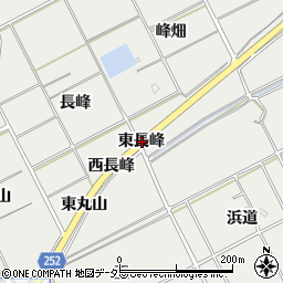 愛知県常滑市金山東長峰周辺の地図