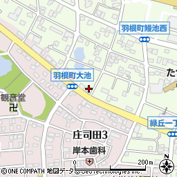 愛知県岡崎市羽根町大池160周辺の地図