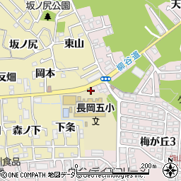 京都府長岡京市奥海印寺東山9周辺の地図