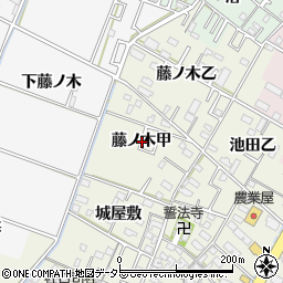 愛知県岡崎市土井町藤ノ木甲周辺の地図