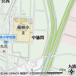 愛知県安城市桜井町中狭間周辺の地図