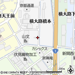 京都府京都市伏見区横大路橋本38周辺の地図