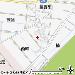愛知県安城市村高町藤野里44周辺の地図