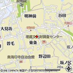 京都府長岡京市奥海印寺東条24-5周辺の地図