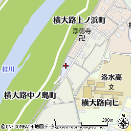 京都府京都市伏見区横大路中ノ島町周辺の地図
