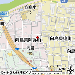 京都府京都市伏見区向島善阿弥町19周辺の地図