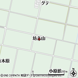 愛知県安城市桜井町坊主山周辺の地図