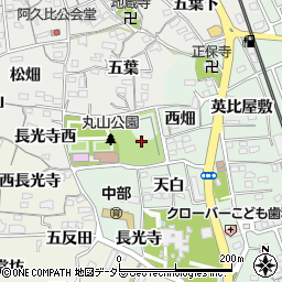愛知県知多郡阿久比町椋岡丸山周辺の地図