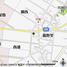 愛知県安城市村高町藤野里22周辺の地図