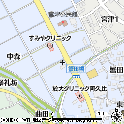 愛知県知多郡阿久比町宮津宮天神29周辺の地図