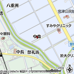 愛知県知多郡阿久比町宮津中森周辺の地図