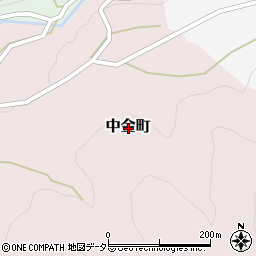 愛知県岡崎市中金町周辺の地図