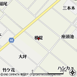 愛知県安城市安城町横堤周辺の地図