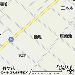 愛知県安城市安城町（横堤）周辺の地図