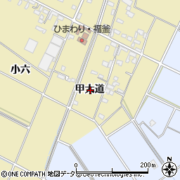 愛知県安城市福釜町甲大道周辺の地図