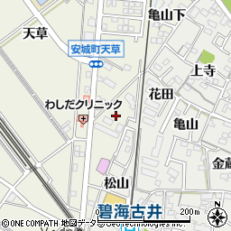 愛知県安城市安城町亀山周辺の地図