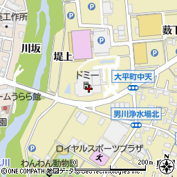 愛知県岡崎市大平町八ツ幡1周辺の地図