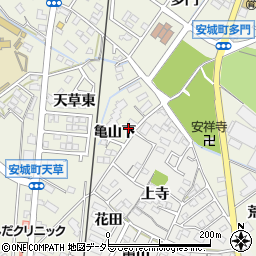 愛知県安城市安城町亀山下10-3周辺の地図