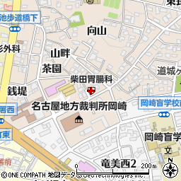 柴田胃腸科・内科周辺の地図