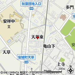 愛知県安城市安城町天草東周辺の地図