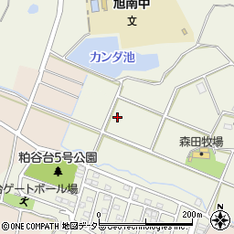 愛知県知多市大興寺平井290周辺の地図