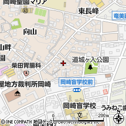 愛知県岡崎市明大寺町道城ケ入周辺の地図