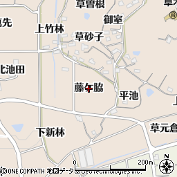 愛知県知多郡阿久比町草木藤ケ脇周辺の地図
