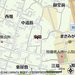 愛知県知多市大草東畑周辺の地図