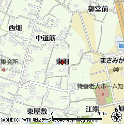 愛知県知多市大草（東畑）周辺の地図