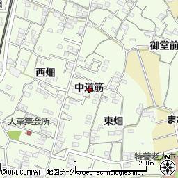 愛知県知多市大草中道筋周辺の地図